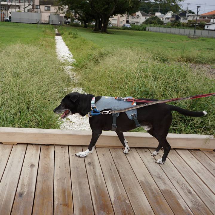 88c8c86b 0d9a 4179 bdf4 303b0306a80c 1758239409194