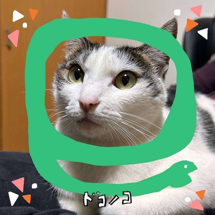 88c8d86b 7ced 4607 b21d 45eefeaf2c39 1741424197090