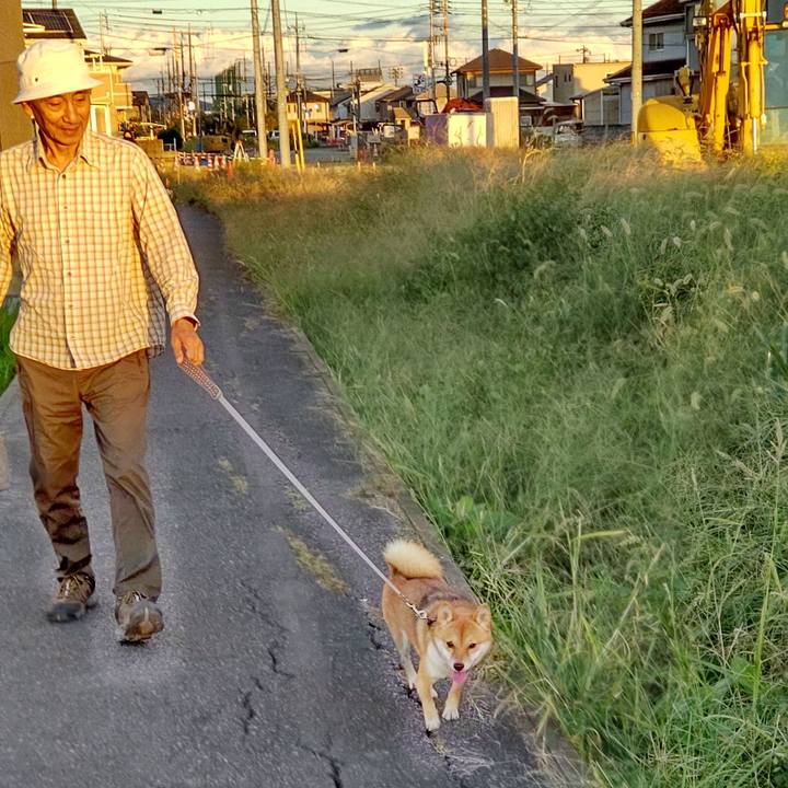 88c8f489 4d17 4baf 83f4 d7979e044d86 1634465075900