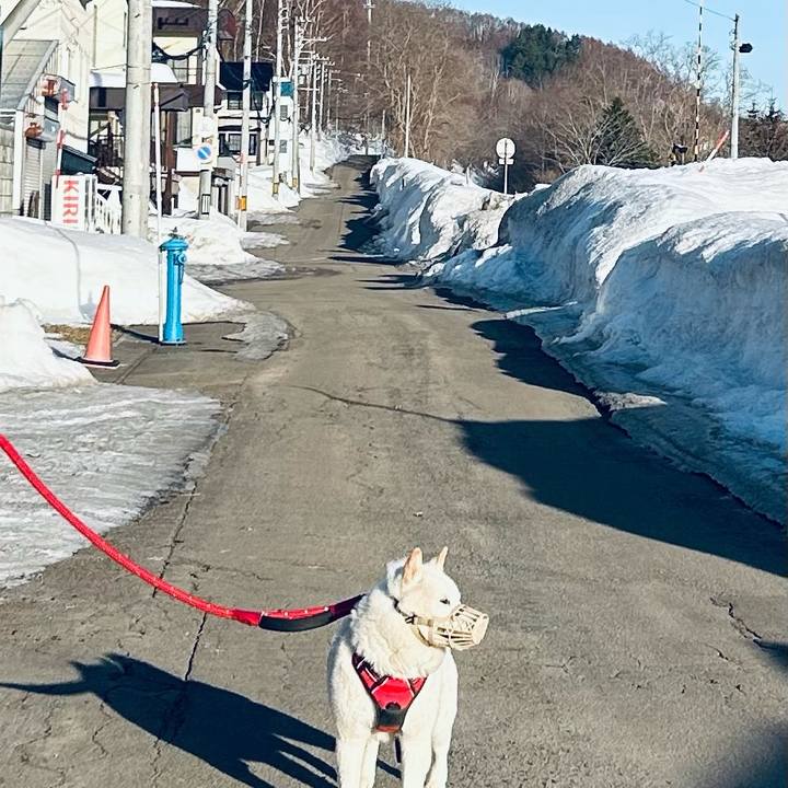 88c8f7c3 484f 4083 a1b4 fa1d10866948 1711408142717