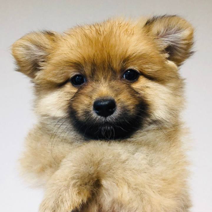 88c94036 117c 40e1 aa10 f38fbbf017c4 1572865194432