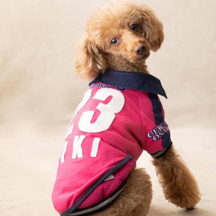 88c9851c 06f4 4d61 b8e8 f0224a5a5e16 1667695343463