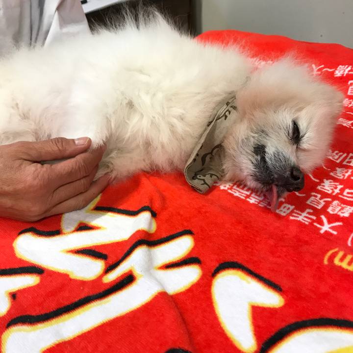 88c9a107 b680 4251 8387 dac26c2d1913 1541610403476