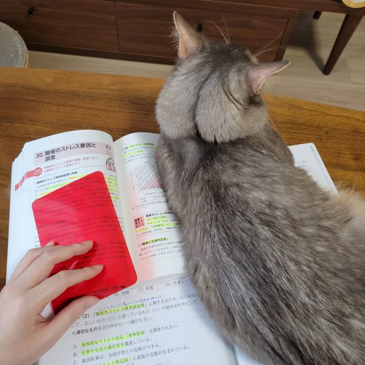 88c9bb38 5e4f 4335 98fd d6d28db8ce5b 1630409850930