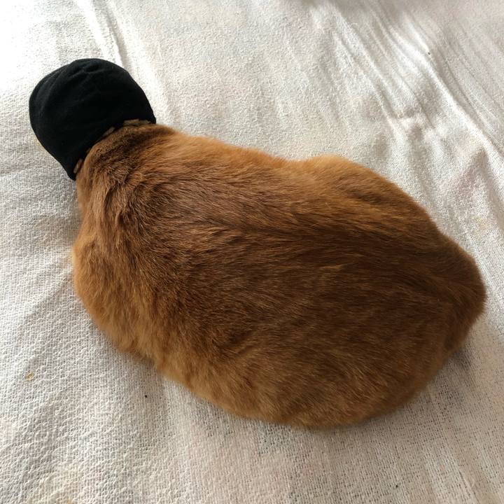 88c9caf2 6334 42db 919c b6789051b892 1606606252407