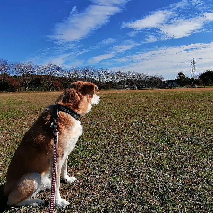 88c9d0fa de84 439c b7f5 c81c67938685 1575524235357