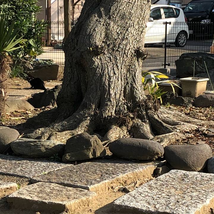 88c9df82 c0c1 4863 ac5f f2f5ae4d8650 1553089308978