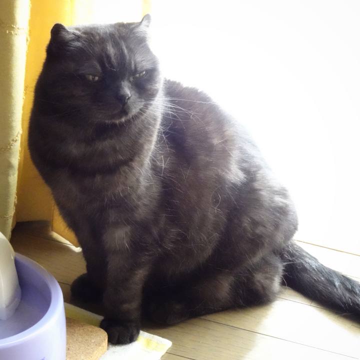 88c9e6b6 ff09 4f54 aa7c ff8c0840d0ce 1588171103913