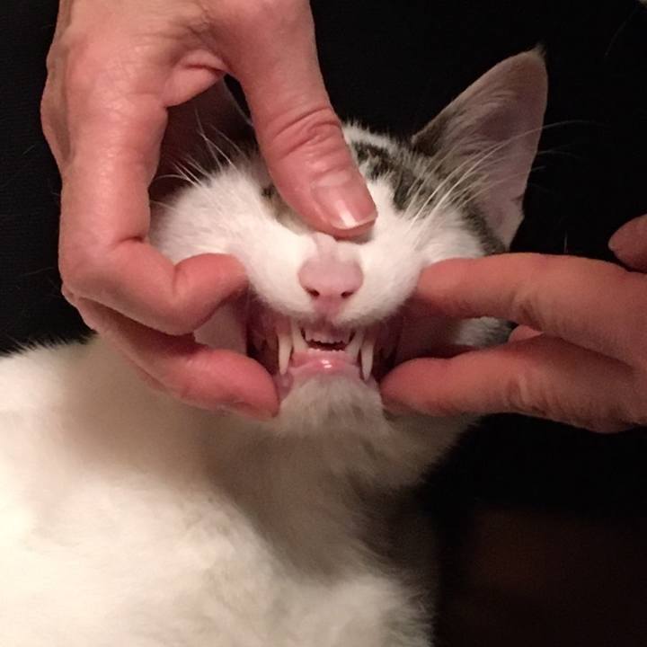 88c9e77d 7dcd 4610 89be 3b35f5702491 1616140178857