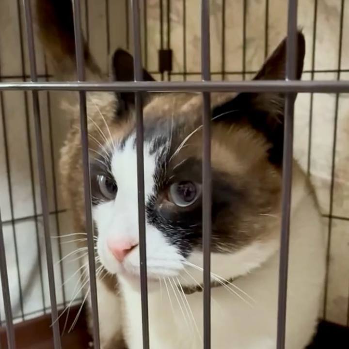 88ca1ffc d317 4e5d 8504 e3d19a744e13 1748829497559