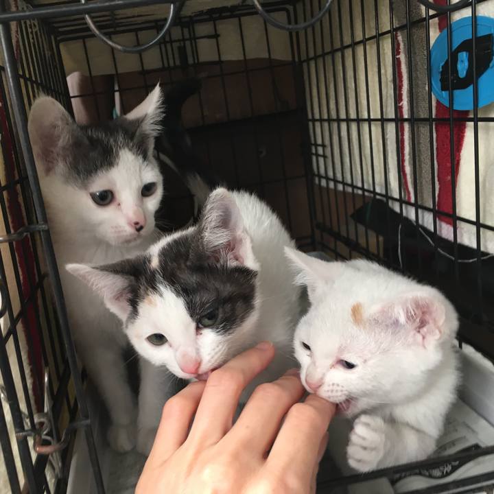 88ca7868 6ac8 465f b001 bab4312aaaf9 1550649528901