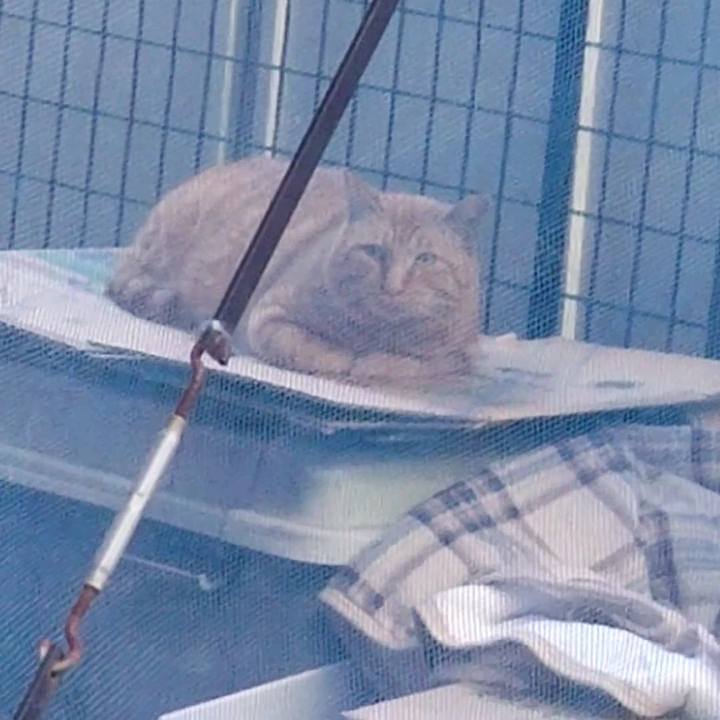 88ca843a ab2a 4b77 b1ab b5b1afa1da0b 1670314115737