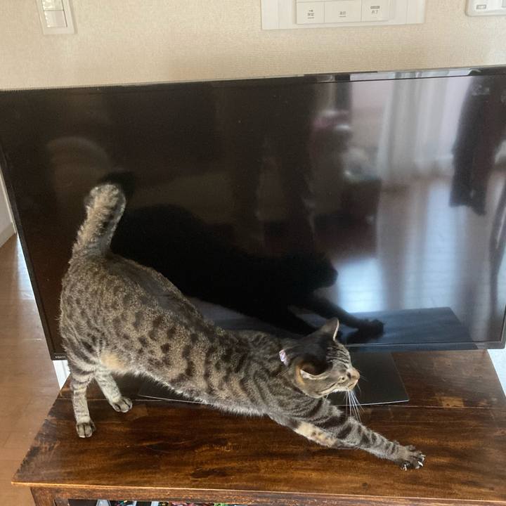 88ca886a ee4e 4155 bb97 42adcff7ec5f 1603348027617