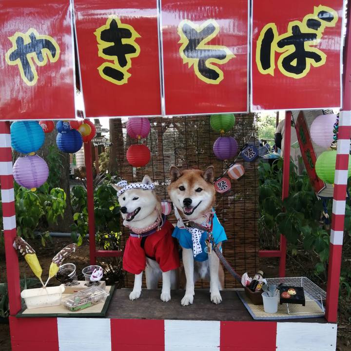 88caa99e 15cb 4dd9 8139 3961617e3443 1692936773410