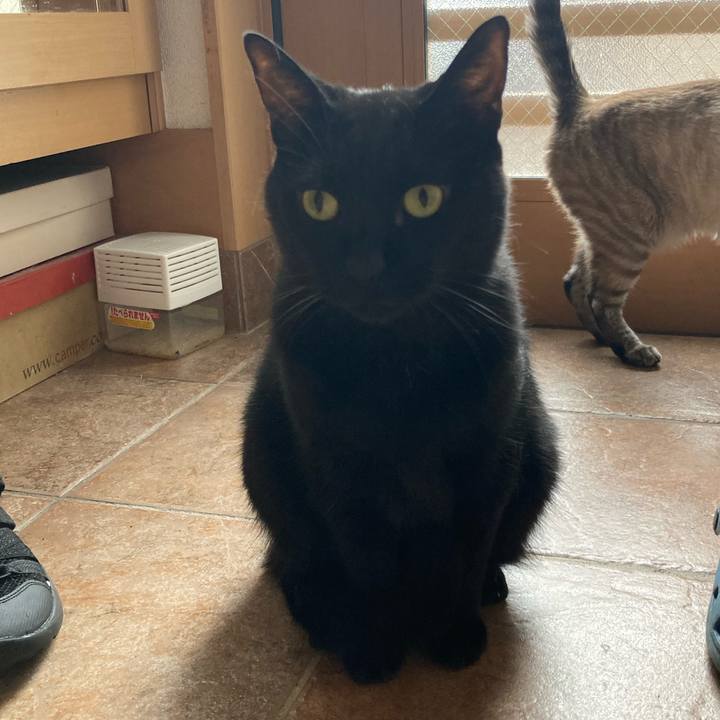 88caab1c 1e45 412f b65f 2c5533bb67e7 1760482714662