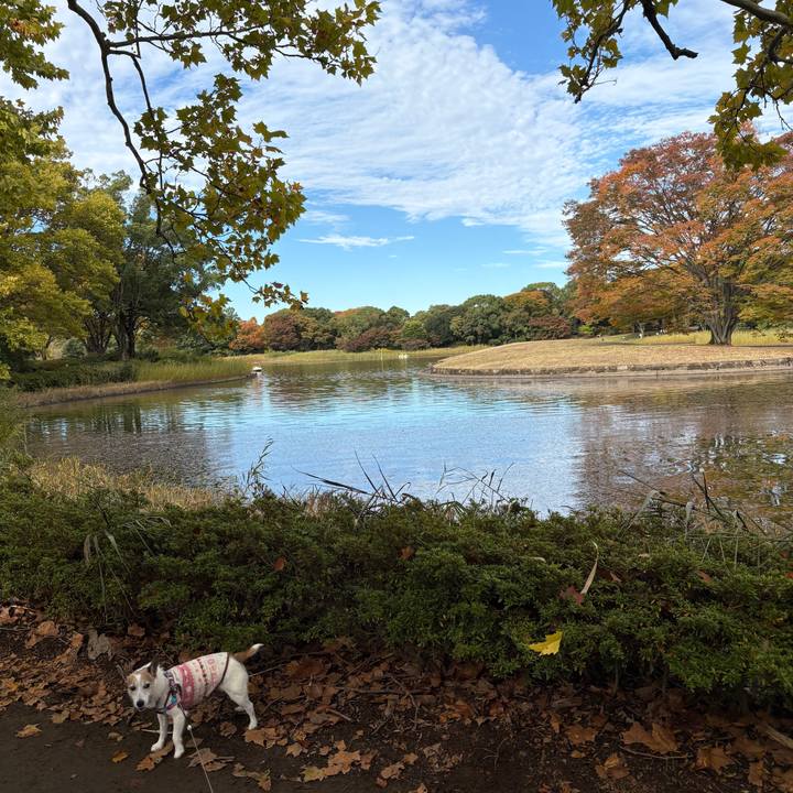 88caac47 5f3e 4b16 8a73 2057d03ba0f2 1762042918154