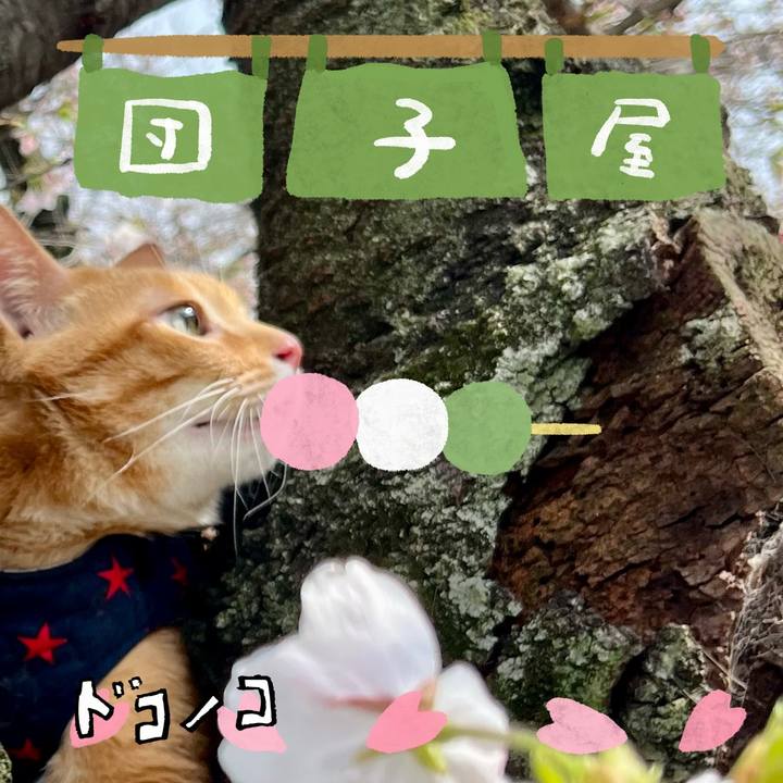 88cb194d 2f80 47c7 b2f5 7f7c7fd237fd 1712266044712