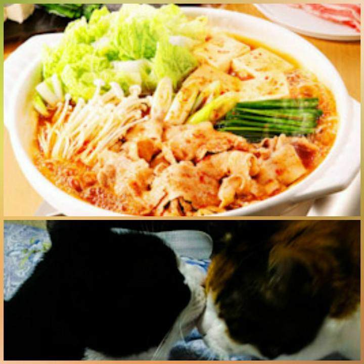 88cb4682 bad6 4790 8474 8bf1824a2dca 1544882482740