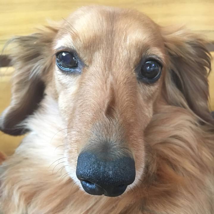 88cb54a9 2d01 4038 a757 4fc3900d4c62 1521263524306