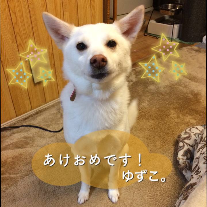 88cb5e3f 6045 453a 9ae3 2cf97dcf111a 1546340563640