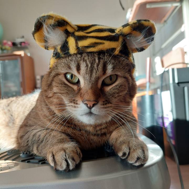 88cb6e98 dafa 4bf4 86e1 d841911037a0 1641253551741