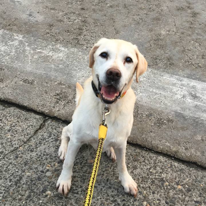 88cb705d 78e5 4f79 b219 74f7c2977bcb 1542021398476