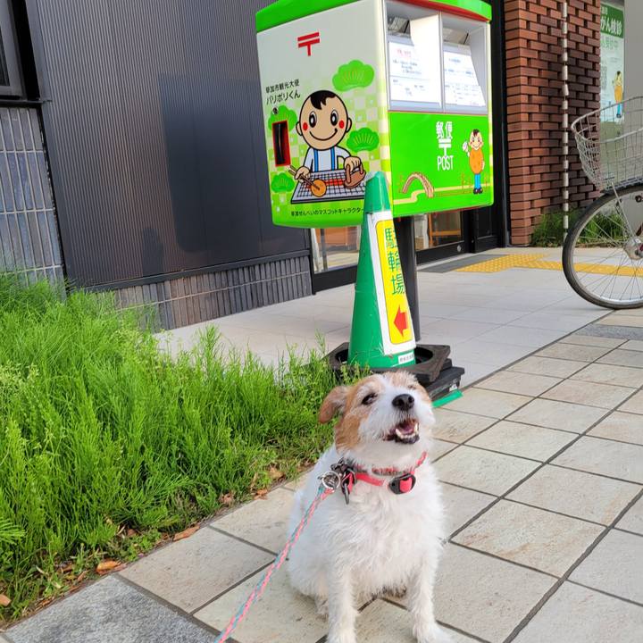 88cba036 99d6 4fae 9dfd 3a808cbd0984 1713173703120