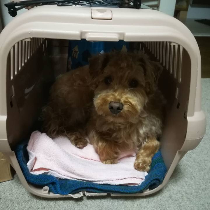 88cbe81d ca7a 4069 87ac 758c9f24a3b7 1529670186906