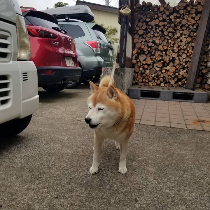 88cc1949 3fe2 4b9b 832a a01401d06f49 1697069172739