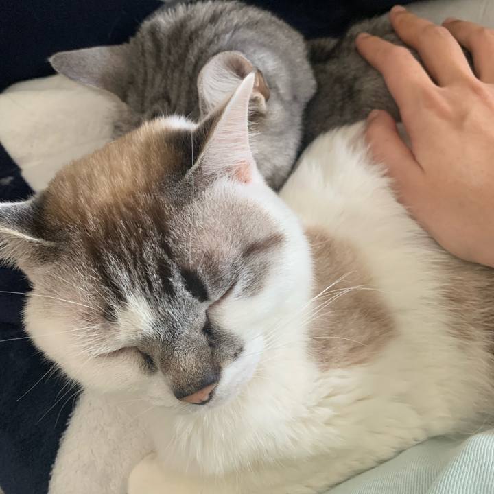 88cc2913 016c 414c 962d 252c533cd13d 1647053309973