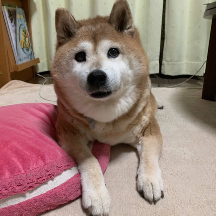 88cc294d 5230 4449 a5ab f8d6dad1b78e 1594032336922