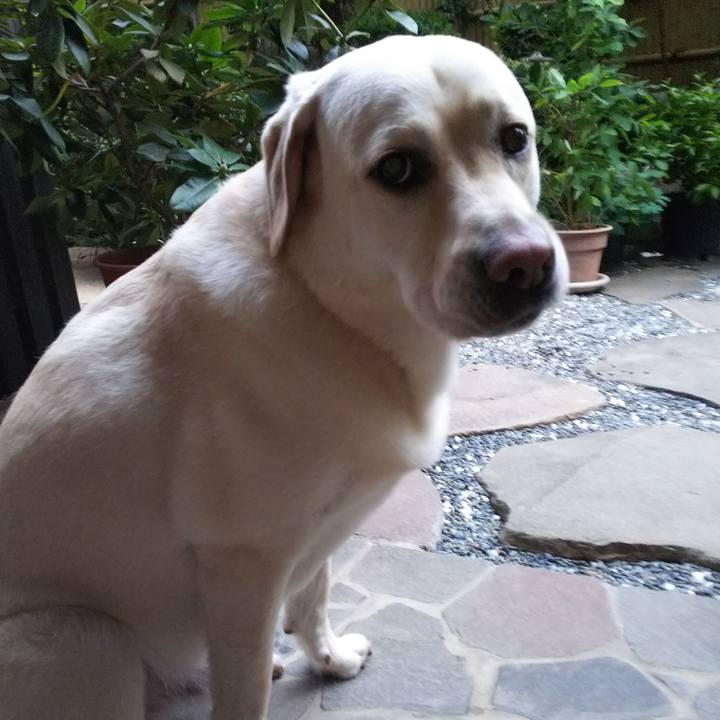 88cc41cf 4f04 4b37 a2e4 514d7b00d5f7 1562068677998