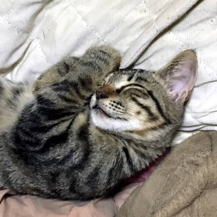 88cc5a52 b917 4a64 ae89 fb3e4a8a5ec8 1537781989277