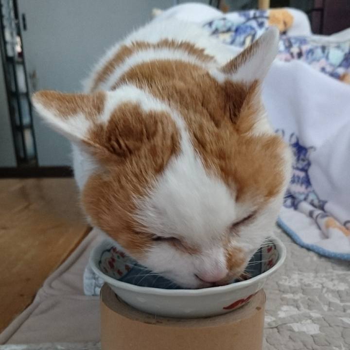 88cc5d2d c966 4161 9c3f 49068516b965 1556577179204