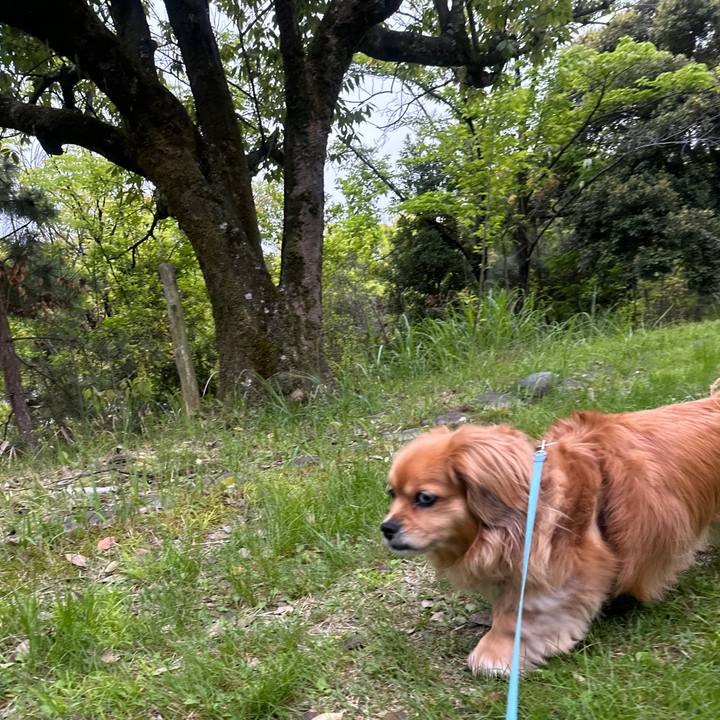 88cc74a3 64d1 4135 b00b 57db14e97e17 1682371341429