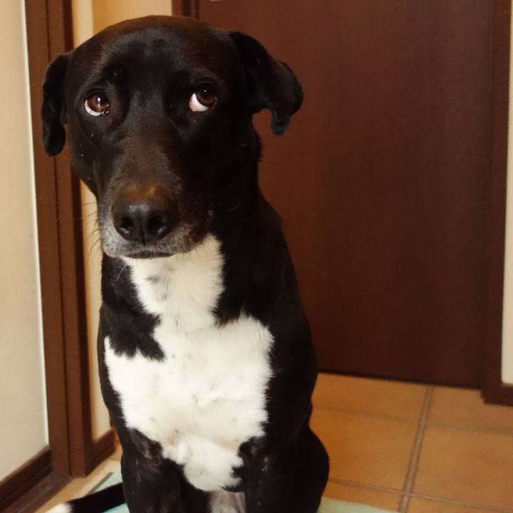 88cc8249 3472 4432 bfa2 e49fe27cedc6 1615114114111