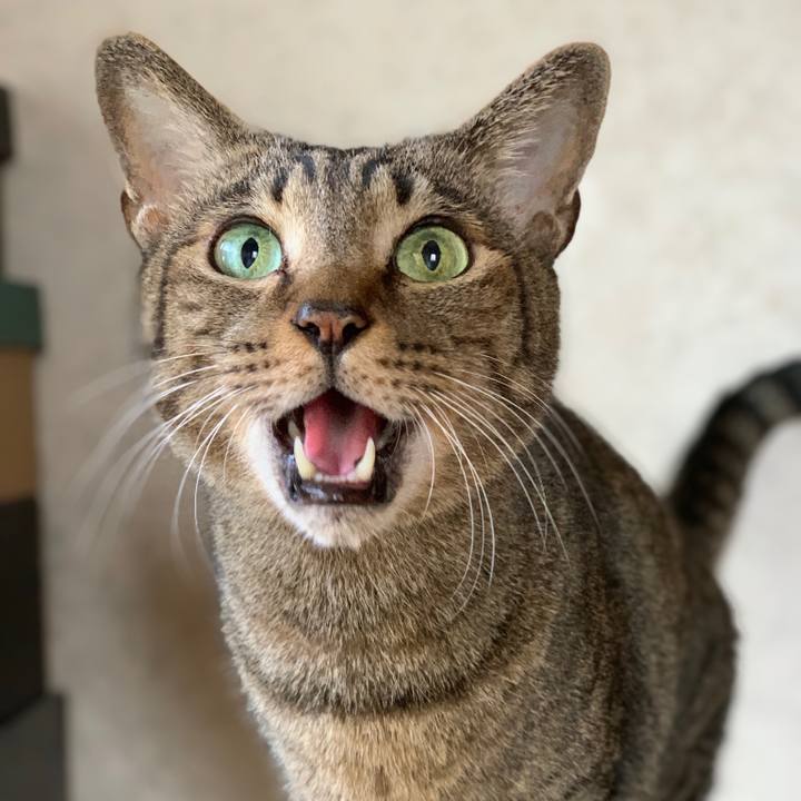 88cc82bb 0e06 4364 b4b8 b937c4585843 1542505373115