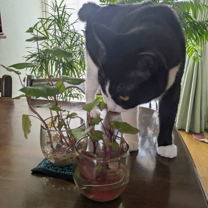 88cca48c b85d 4522 af98 53cd3407c69a 1692853896203