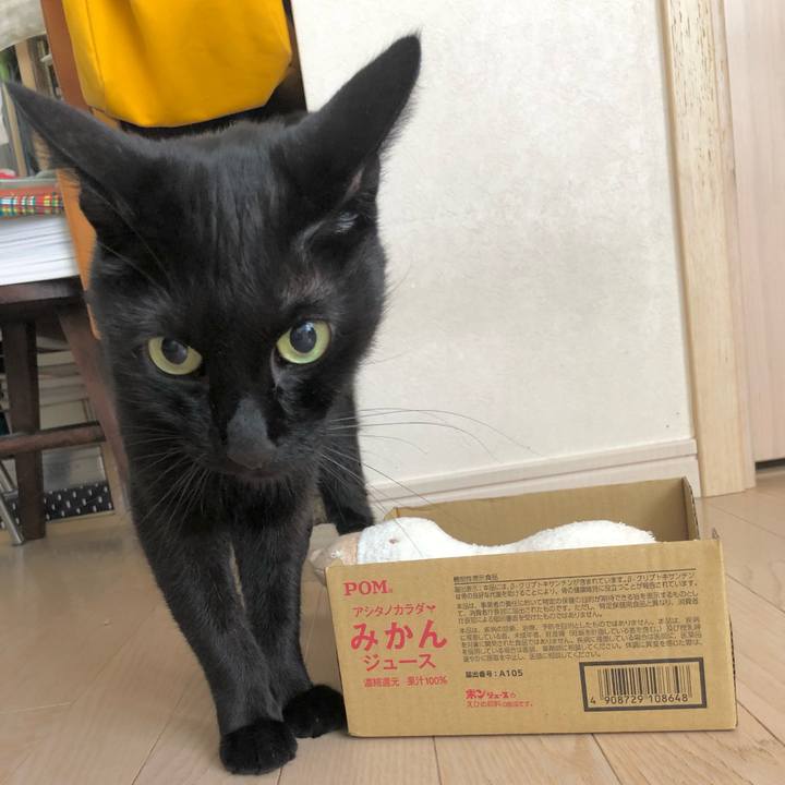 88ccb0f6 4a11 466a 8648 adc8c06863dc 1629815126828