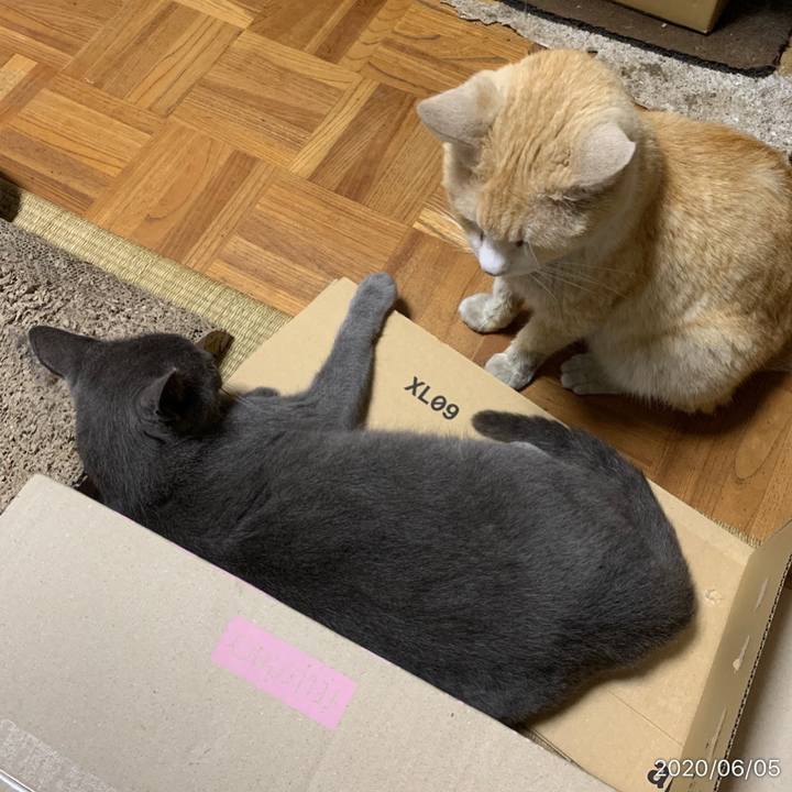 88ccdc49 c1a1 43ea 9463 e2956a294d07 1591359930622