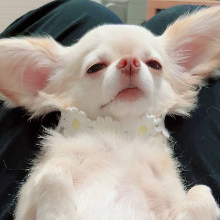 88cce1c0 c67d 4e43 ab4d 98df29123a4f 1689852322288