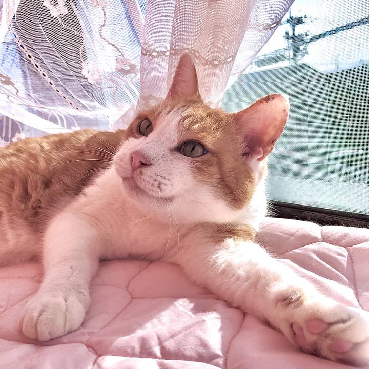 88cd0256 3ad3 4673 93bf 9744b1609b87 1577501210399