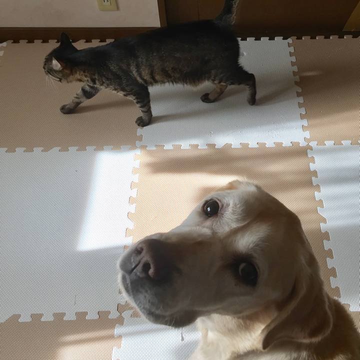 88cd4009 9d72 4a99 8011 a5bb7a03f15d 1576061658325