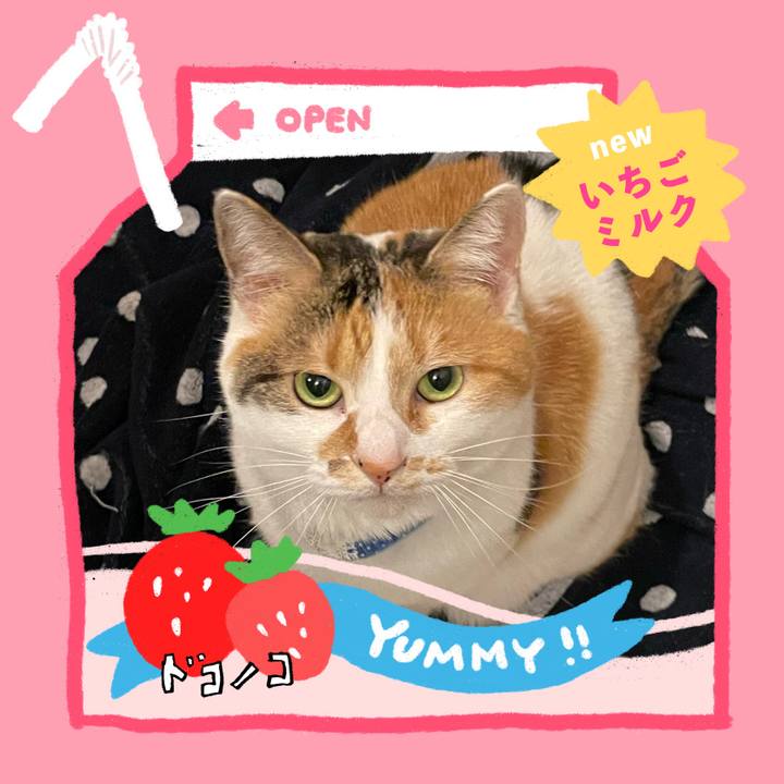 88cd4201 a9c7 48d6 8f04 7ce5cdb5c298 1711078547153