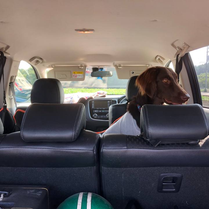 88cd5797 de15 4c1e 929b cfe309eaa3f9 1566792481615