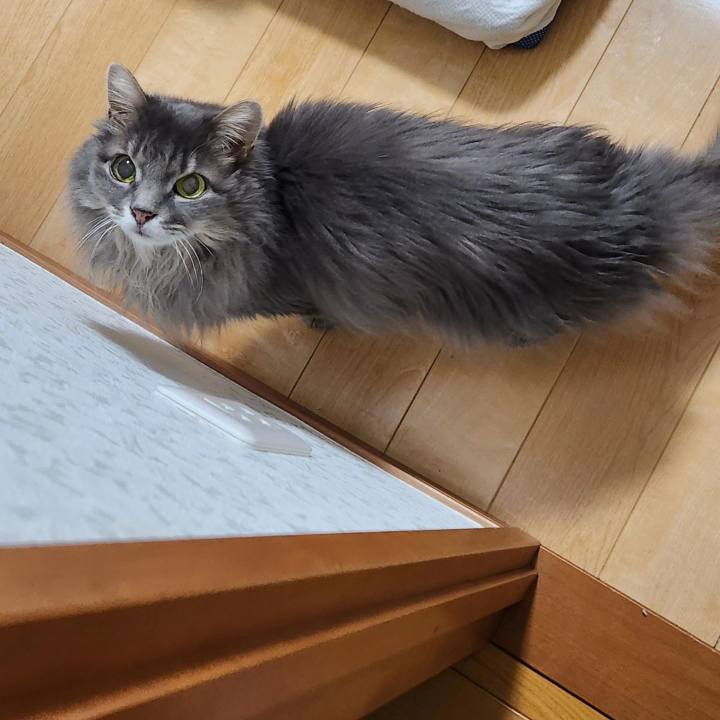 88cd5c5e 9a9e 4d21 98a8 c5bb822b6431 1711941195686