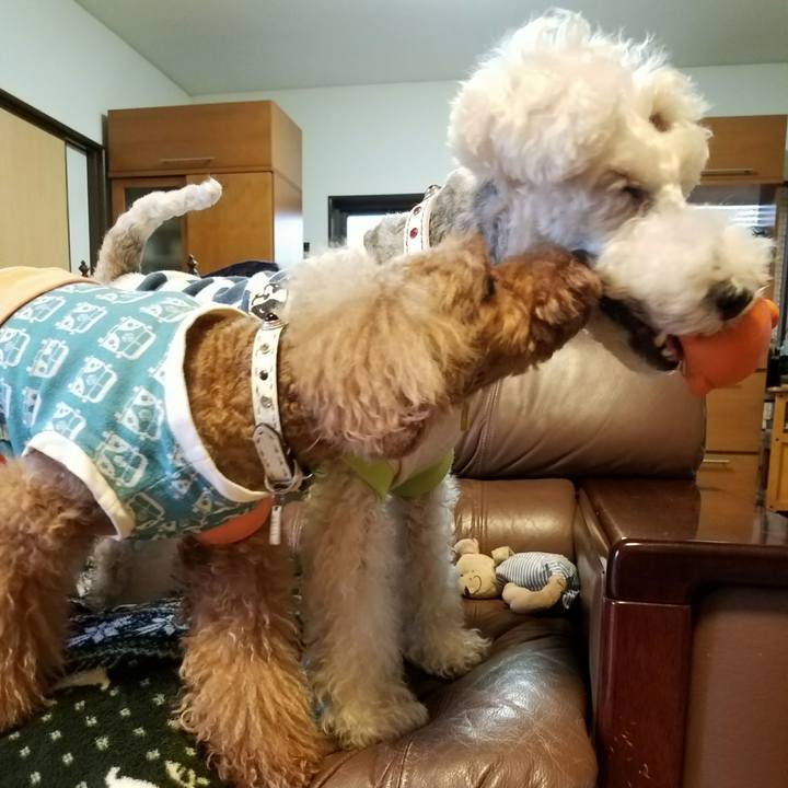 88cd5da2 8c20 4e18 acf1 6465459fba88 1510970820784