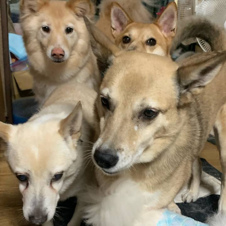 88cdb47d b577 4f14 a465 bd4381b296c8 1720249778422