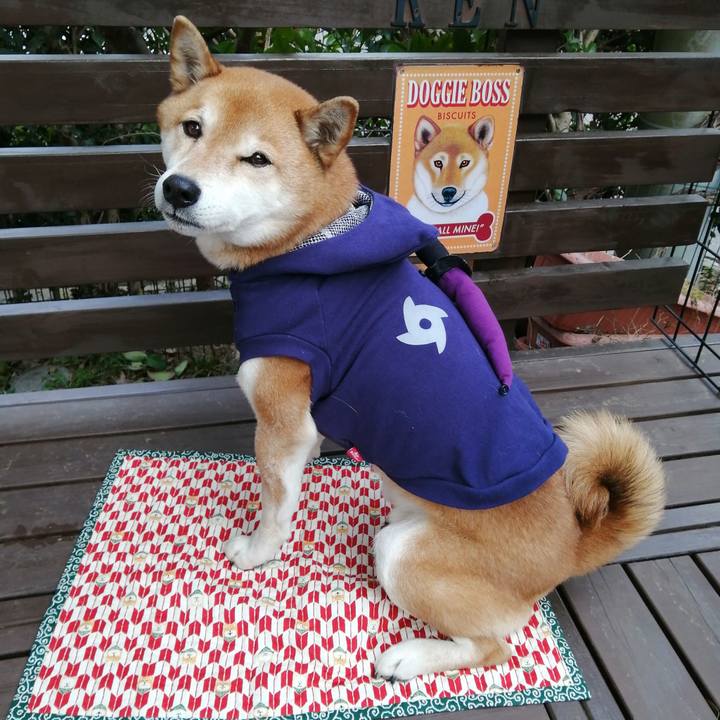 88cdc3a7 92b9 49b9 ab95 2f2b51e2e3a3 1676187736141