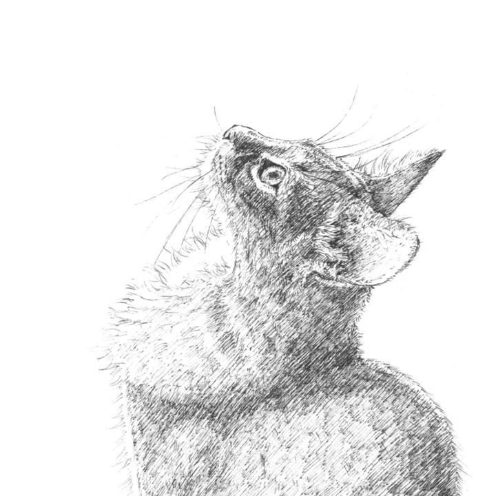 88cddb70 b535 4cfb 99ce 25eeb00d28d4 1588513701685